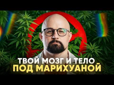 МАРИХУАНА. Как обманулись 300 миллионов человек?