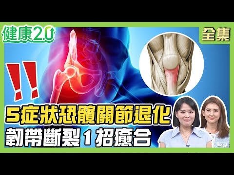 李恩菲髕骨軟化症哭了！郁方左髖關節打不開5症狀是髖關節退化警訊！韌帶斷裂專家教1招快速癒合！健康2.0 20250427【完整版】#陳欣湄 #韋汝 #林冠宇 #侯鐘堡 #柳朋馳 #胡逸惟