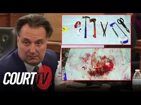 Brian Walshe Murder Investigation Evidence: Tyvek Suit and Cutting Tools