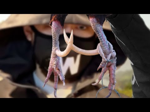 На Самом Деле, Это Хищник