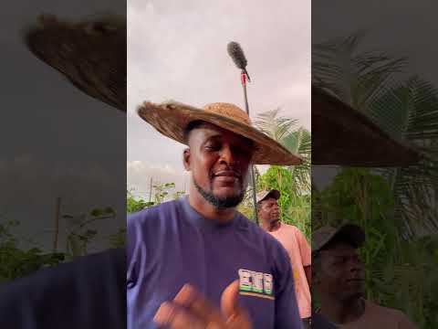 TENDER HEDGES! We made a good film for my bestfriends cos you deserve the best!