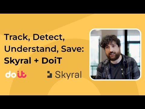 Skyral Cuts Through Cloud Complexity with DoiT Cloud Intelligence™