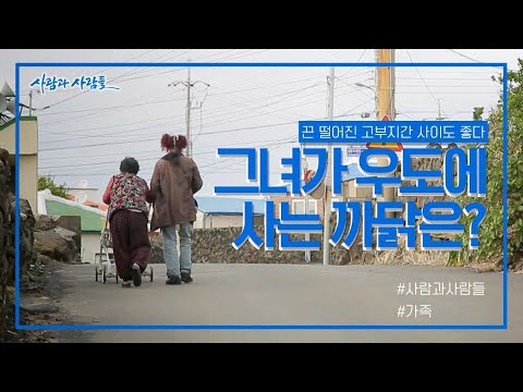 [사람과 사람들] 끈 떨어진 고부지간. 하지만 다정한 그녀들? 그녀가 우도에 사는 까닭은 ｜ KBS 161207 방송