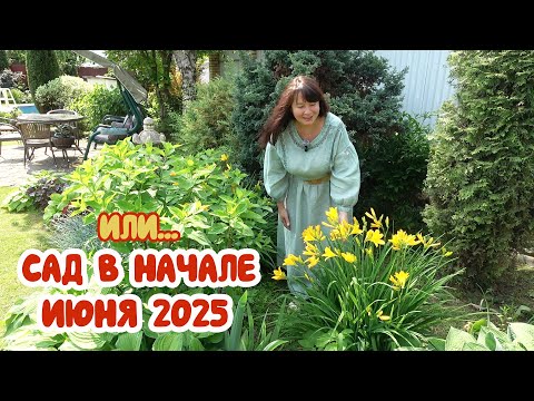 Первый обзор летнего сада.... Который полностью содержит Паша, а я только в платьях красуюсь👌