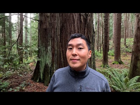 I've Been Trying To Unbrainwash Myself