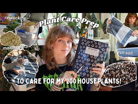 monthly reset: plant girly edition 🌿 easy diy potting mix, new care routine, & restocking supplies