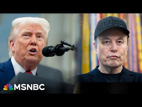 'Cleanup on aisle Trump': Elon Musk is making a mess of the megabill