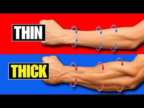 Only 2 Exercises to Build Incredibly Large Forearms!