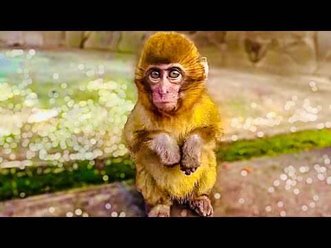 Так МИЛО! Майечка УЗНАЛА Степашку и Маняшку и все малыши ОБРАДОВАЛИСЬ ВСТРЕЧЕ)))