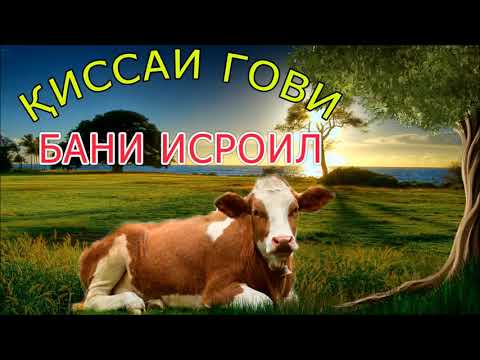 КИССАИ ГОВИ БАНИ ИСРОИЛ  (ИБНИ САЪДИ)- قصه ی گاو بنی اسرائیل