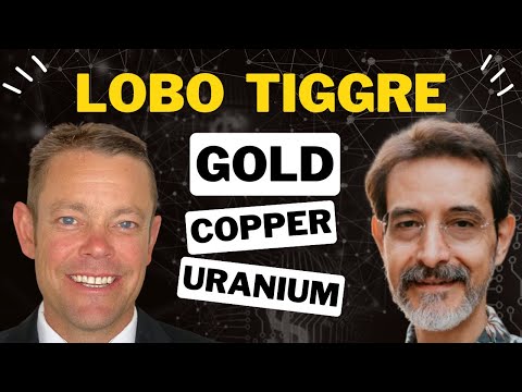 Lobo Tiggre’s Top Pick: Gold, Silver, Copper, or Uranium?