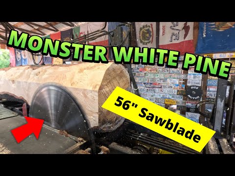 Sawing one nice Monster white pine log # 755