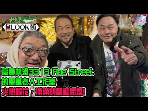 20251218 "Old Crocodile's Christmas Look Street" Part B: Santa's Studio at 3313 Rae Street, Port ...