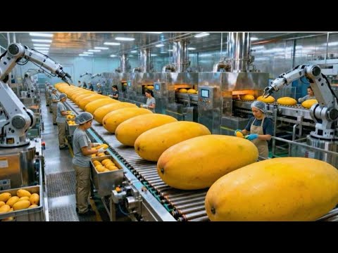 Inside a Modern Dried Mango Factory | Food Processing Explained