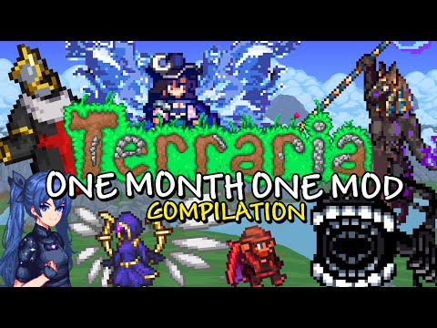 Every One Month One Mod Video