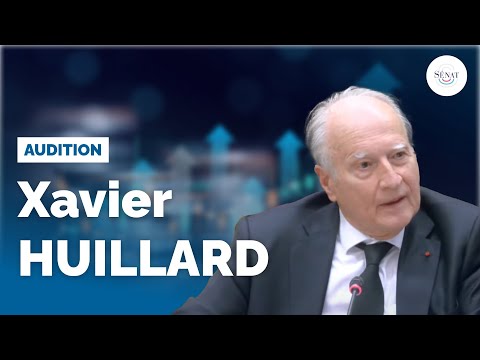 Aides aux grandes entreprises : audition du PDG de Vinci