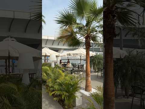 planning a trip to Dubai ?