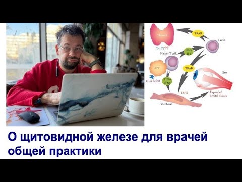 О щитовидной железе для врачей общей практики