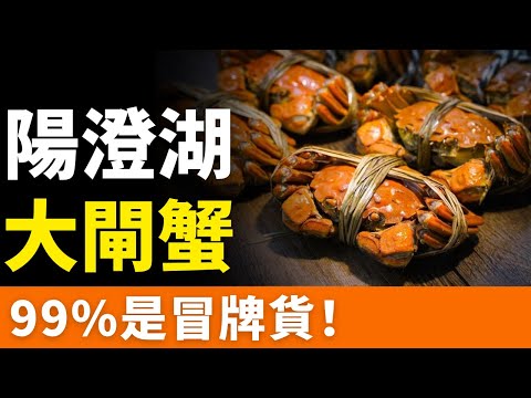 完了！陽澄湖大閘蟹，99%是冒牌貨！留學蟹、洗澡蟹、化妝蟹，以假亂真！難產難銷！假貨氾濫！線上舉步維艱，被迫內卷！靠“蟹券”謀取暴利，讓消費者眼花繚亂！從大閘蟹到“大雜蟹”，它到底經歷了什麼？