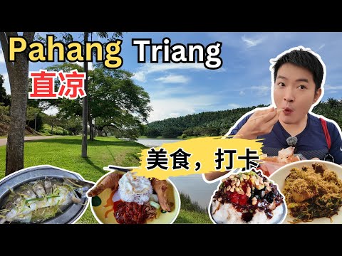 [Pahang直凉Triang～美食, 打卡] Tan Pin椰浆饭！一家人姜酒炒米粉！益珍饼家！来香巴丁鱼，福建面！98 ABC! 新光明茄汁面！快乐鸡饭！阿清猪肉粉！巴士站美食广场！叁娘善心老人院