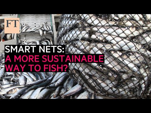 Trawling for a sustainable future with smarter nets | FT Food Revolution