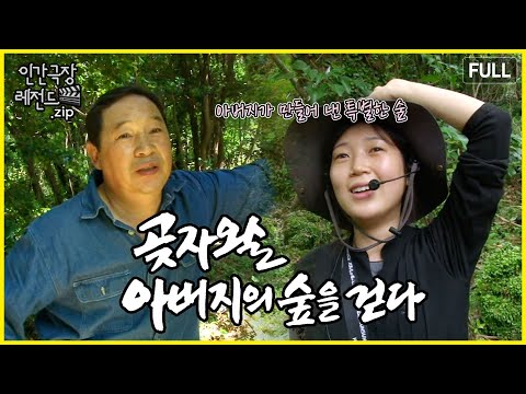 맨손으로 일궈낸 아버지의 숲, 곶자왈로 돌아오다 🌳 '곶자왈 아버지의 숲을 걷다' 몰아보기 | 인간극장 레전드.zip [KBS 방송]