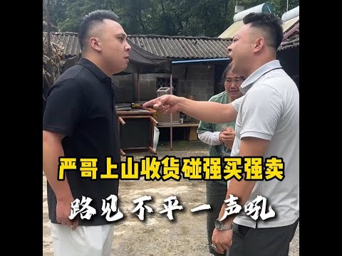 严哥上山收货碰见强买强卖，路见不平一声吼 #爱心 #正能量传递 #翡翠 #翡翠玉石 #翡翠手镯