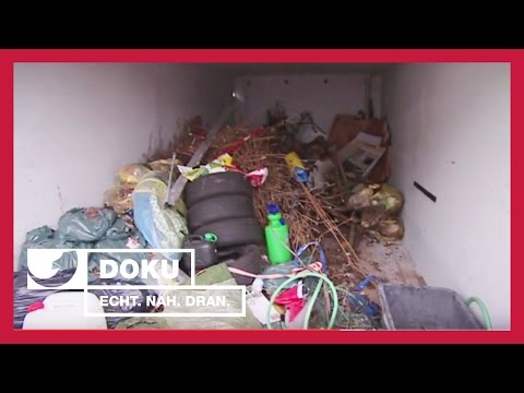 Schluss, aus, raus! Vom Kampf gegen Mietpreller | Experience - Die Reportage | kabel eins Doku