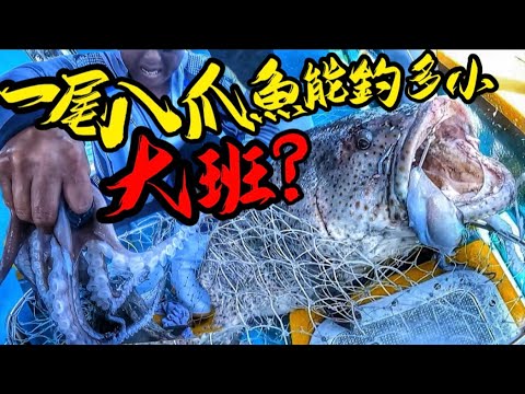 外海釣大班100蚊魚餌 重用就能釣上幾十斤，拿去賣返幾千蚊￼🤑#香港釣魚 #fishing#grouper