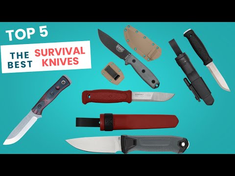 The 5 Best Survival Knives in 2025 Built to Last