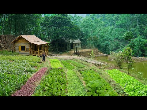 Building a life in a wooden house, taking care of pigs - Cleaning the house