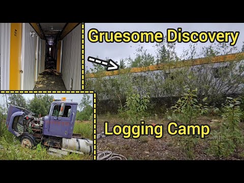 The Most Gruesome Thing I Have Ever Found Exploring. Abandoned Logging Complex Houseing