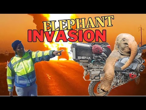 Camping with Elephants! Botswana to Zambia by Motorcycle - Australia to England ep6