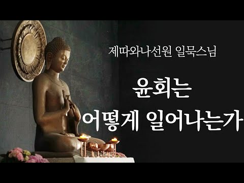 윤회는 어떻게 일어나는가ㅣ일묵스님ㅣ제따와나선원 2025.11.05.