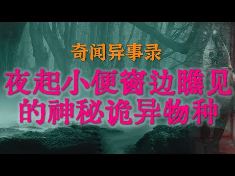 【灵异事件】夜起小便窗边瞧见的神秘诡异物种|我家对面被封禁的恐怖幼儿园|恶妇改性背后的神秘传闻#鬼故事#睡前故事#解压故事#灵异故事#民间故事#horror#ghost「奇闻异事录--灵异电台」