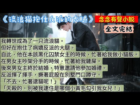 【完結溫馨貓咪救贖文】我轉世成為了一只流浪貓。但好在抱住了病嬌反派的大腿。自此，他在本該黑化囚禁女主的時候，忙著給我做小貓飯。在男女主吵架分手的時候，忙著給我鏟屎。 《流浪貓抱住反派的大腿》