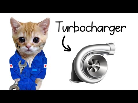 Turbocharger Explained By Cats