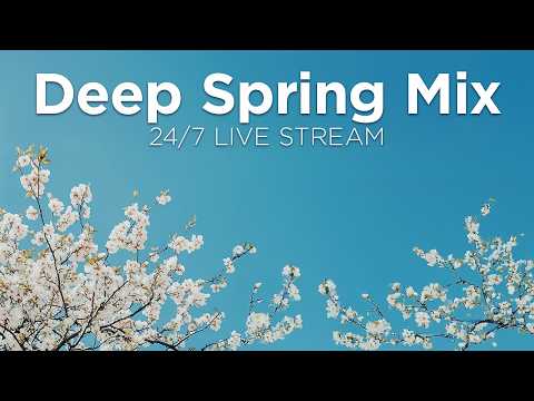 Deep Winter Mix 2026 ❄️🍵 24/7 Live Radio • Deep House Chill Out Music Mix by We Are Diamond
