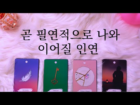 [타로/연애운] | 곧 나와 필연적으로 이어지게 되는 인연 (썸,짝사랑, 솔로, 재회, 커플 연인 인연)