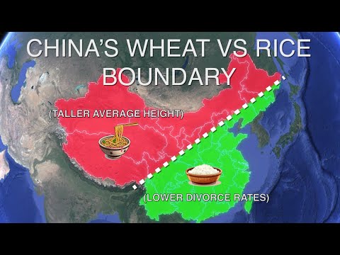 How Eating Wheat vs Rice Shaped The Vast Cultural Differences Between Northern and Southern China