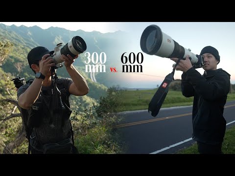 Why You Don’t Need a 600 Prime for Wildlife