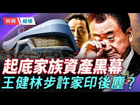 許家印認罪後,資產黑幕被一一揭開 其長子被爆月領4100萬生活費,許家其他子女 生活一度奢侈;同時王健林和許家印處境一樣,都是中共紅色家族的白手套。主持:林詩明 【時局縱橫】