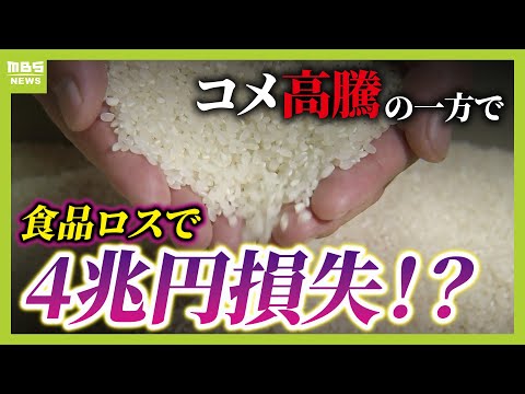 【コメ高値で備蓄米放出】なのに大量生産・大量廃棄はなぜ？コンビニ１店舗あたり廃棄は『年間４６８万円分』【解説】（2025年2月26日）