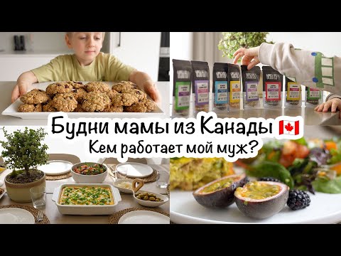 A Canadian Mom's Daily Life🇨🇦Healthy Cookies🍪Breakfast🍳Parcel📦What My Husband Does🤔