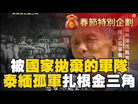 The remnants of the Nationalist army retreated to Dianbei and prepared for a counterattack