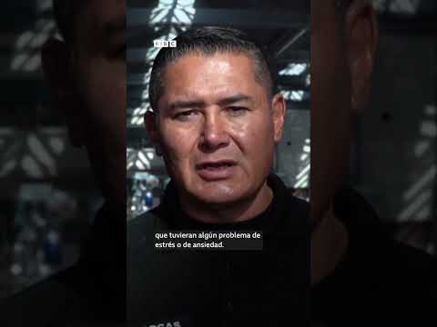 Los perros que ayudan a calmar el estrés en un aeropuerto de México