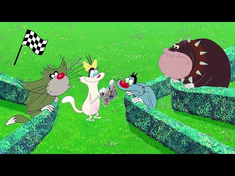 Oggy và những chú gián tinh nghịch | Olivia và cuộc đua lớn | The Race | phim hoạt hình