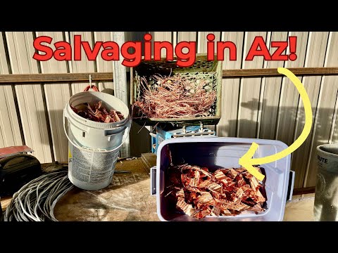 A Fortune From the Streets👍🏻 