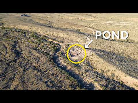 I'm Building a Pond Before Monsoon Season