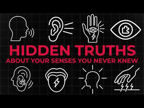 4 Hours of Hidden Truths About Your Senses You Never Knew